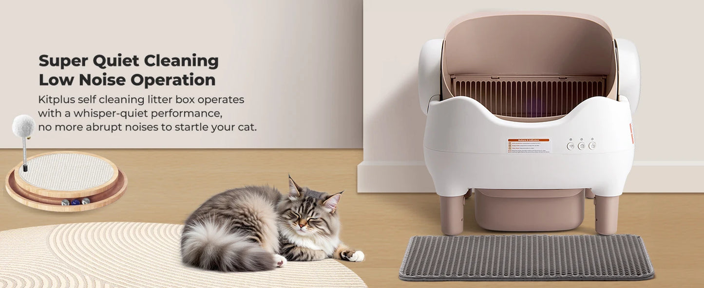 Michi’s Auto-Clean Smart Throne