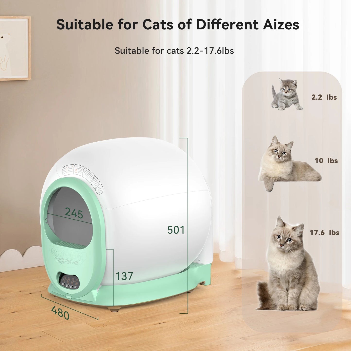 Michi’s Cosmic Smart Clean Orb