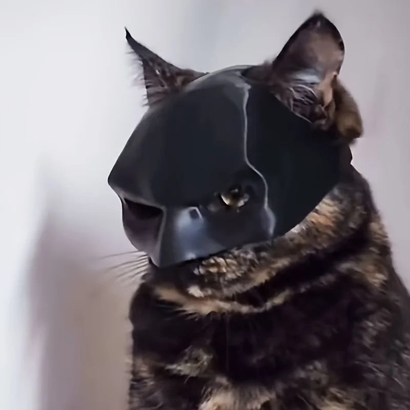 The BatCat Mask