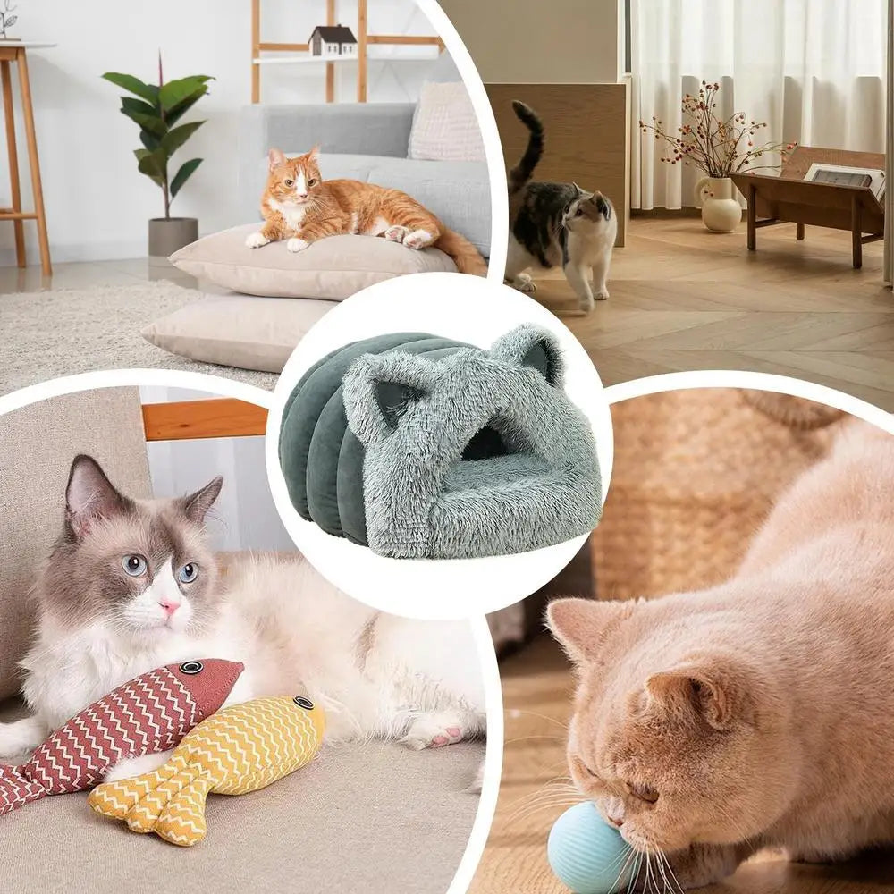 Michi’s Fluffy Ear Bungalow