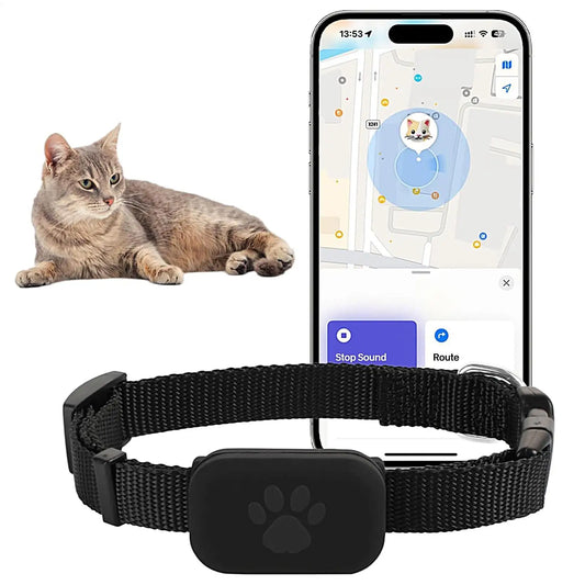 Where is my Michi?  GPS Cat Collar